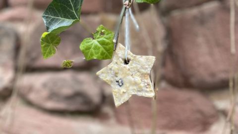 Vogelfutter selber machen mit Kokosfett