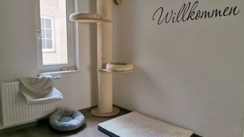 Ein Kratzbaum steht in einem minimalistisch eingerichteten Raum, in dem ein Hundebett und eine Decke liegen; an der Wand steht „Willkommen“.