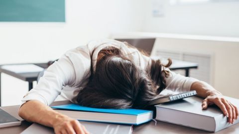 Eine erschöpfte Person mit langem Haar liegt müde mit dem Kopf auf einem Stapel Bücher, umgeben von einer hellen Lernumgebung.