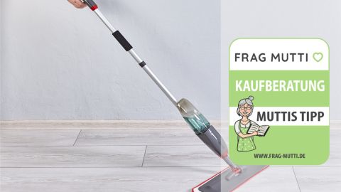spruehwischer test