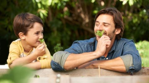 Ein Vater und sein Sohn lächeln, während sie frische Kräuter aus dem Garten genießen, um Kräutertee zu machen.