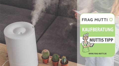 luftbefeuchter test