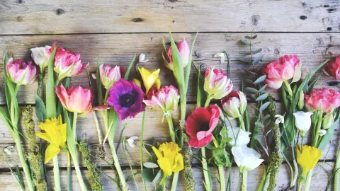 F&uuml;r die Blumen im Strau&szlig; eignen sich nicht nur Tulpen sehr gut, sondern auch Forsythien, Ranunkeln, Narzissen, Hyazinthen und andere Fr&uuml;hbl&uuml;her. 