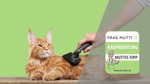 katzenbuersten test