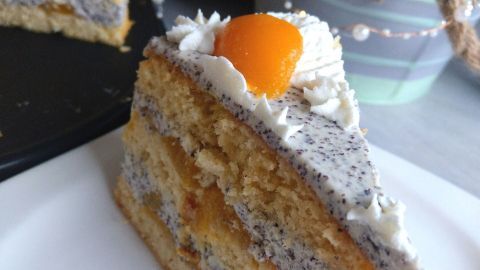 Eine Käse-Sahne-Torte mit Aprikosen und Mohn steht auf einem weißen Teller, umgeben von einer festlichen Dekoration.