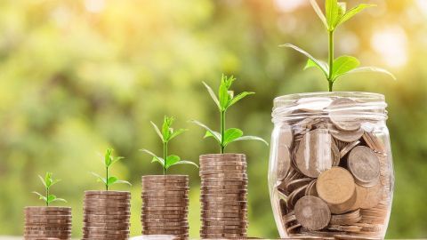 Münzstapel mit kleinen Pflanzen sprießen, um finanzielle Vorsorge für Kinder symbolisch darzustellen, vor einem grünen Hintergrund.