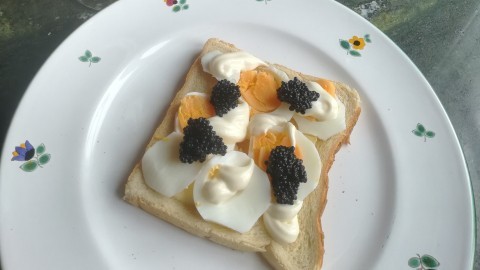 Algenkaviar Brötchen mit Mayo und gekochtem Ei