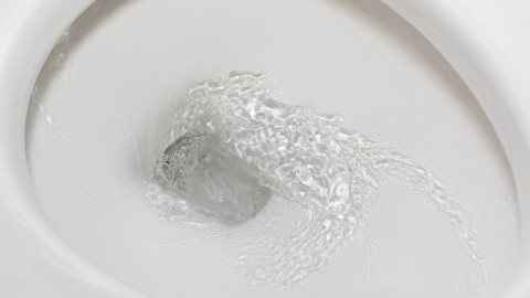 Zitrone gegen Metallkratzer in der Toilette