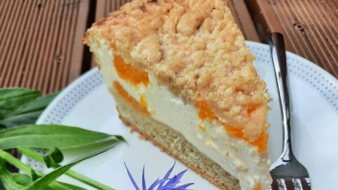 Mandarinen-Käsekuchen mit Streusel