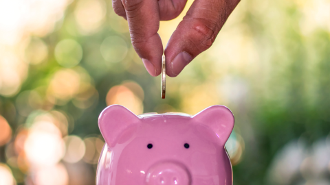 Eine Hand wirft eine Münze in ein rosa Sparschwein, um Geld zu sparen und kochen mit wenig Geld zu ermöglichen, im Garten.