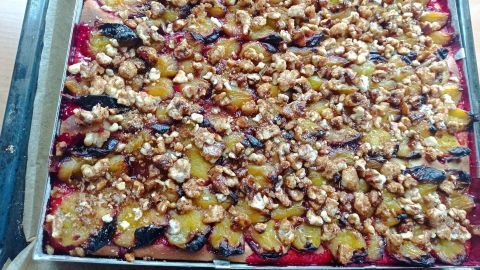 Ein Zwetschgen-Blechkuchen liegt in einer Backform, mit goldenen Zwetschgen und knusprigem Topping in einem Küchenumfeld.
