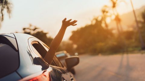 Ein Arm hängt aus dem Autofenster, während das Fahrzeug auf einer Straße in der Abendsonne fährt, umgeben von Palmen.