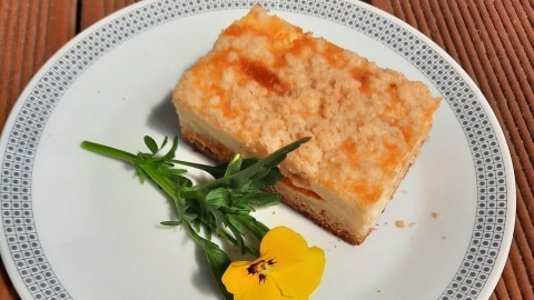 Aprikosen-Käse-Schmand-Kuchen mit Streusel