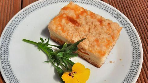 Ein Stück Aprikosen-Käse-Schmand-Kuchen liegt auf einem Teller, umgeben von frischen Kräutern und einer Blume.