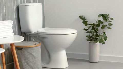 Eine weiße Toilette steht in einem modernen Badezimmer neben Pflanzen und Handtüchern. Atemtechnik kann helfen bei Verstopfung.