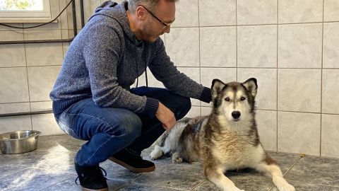 Ein man kniet neben einem Hund im Tierheim und streichelt ihn sanft, während sie in einem hellen, gefliesten Raum sind.