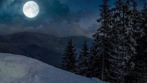 Ein voller Mond strahlt über schneebedeckten Hügeln und dunklen Tannenwäldern in einer ruhigen, kalten Winternacht.