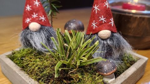 Zwei dekorative Weihnachtswichtel stehen in einer mit Moos geschmückten Schale auf einem Holztisch, umgeben von Pflanzen.