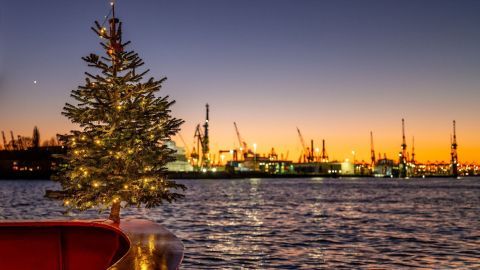 Ein geschmückter Weihnachtsbaum steht auf einem Boot, umgeben von glitzerndem Wasser und einem Sonnenuntergang über einem Hafen.