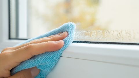 Eine Hand wischt mit einem blauen Tuch Kondenswasser von einem Fensterrahmen, um Schimmel und hohe Luftfeuchtigkeit zu bekämpfen.