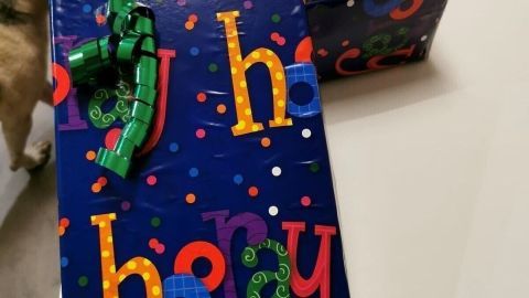 Bunte Mehrweg-Geschenkverpackung mit grünem Band und Karte auf einem Tisch, daneben ein Hund im Hintergrund.