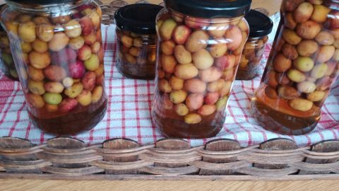 Gläser mit eingelegten Oliven stehen auf einem gestreiften Tuch, umgeben von einem rustikalen Holzkorb auf dem Tisch.