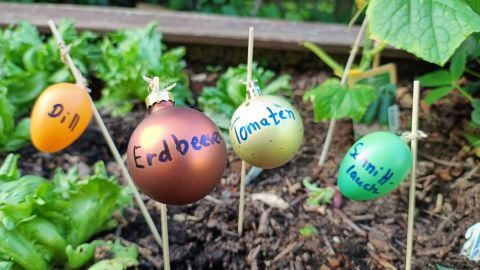 Bunte Weihnachtskugeln stehen auf Holzstäben im Garten und beschriften Kräuter und Pflanzen wie Erdbeeren und Tomaten.