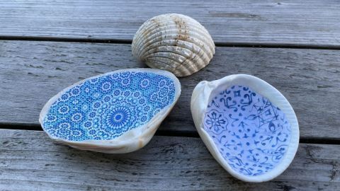 Schöne Muschelschalen dienen als Schmuckablage und liegen dekorativ auf einem Holztisch.