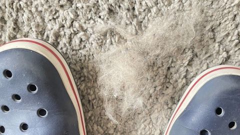 Graue Teppichfläche mit Hundehaaren, während die Crocs daneben stehen und dabei helfen, die Haare zu entfernen.