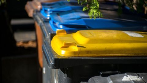 Mehrere Mülltonnen stehen geordnet nebeneinander. Die gelbe Tonne hat einen verschlossenen Deckel, der den Zugang erschwert.