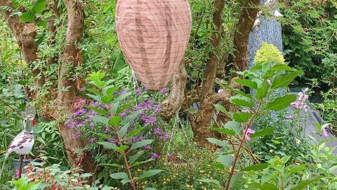 Eine Nest-Attrappe hängt an einen Baum in einem üppigen Garten mit bunten Blumen. Text: "15. Aug. 2024, 10:45".