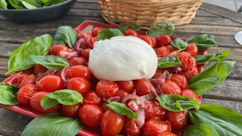 Burrata di Bufala ruht auf warmen Honig-Tomaten mit Basilikum auf rotem Teller, im Hintergrund Brot und Spinatblätter.