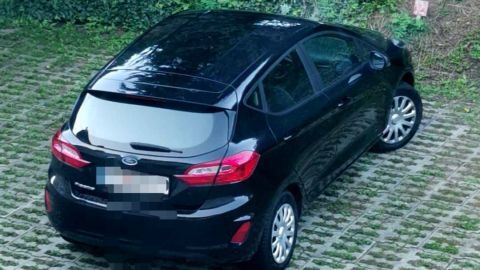 Auto parkt auf begrüntem Pflaster, umgeben von hohen Nadelbäumen.