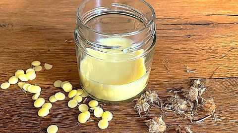 Getrocknete Arnikablüten und Bienenwachs sind zusammen mit Kokosöl und Vitamin-E-Öl die Zutaten, mit denen du deine Arnikasalbe ganz einfach und schnell selber machen kannst. 