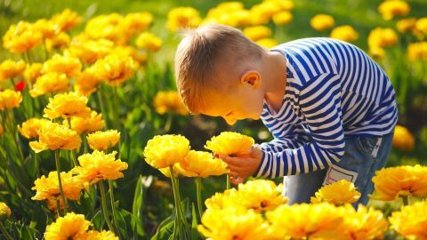 Hach, ich liebe die Blumenwiesen in dieser Jahreszeit! Alles blüht fröhlich und bunt vor sich hin. Und dieser Duft ist einfach so gut!