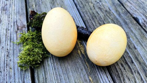 Natürlich gelb gefärbte Ostereier mit Annattosamen – nachhaltige Färbemethode für leuchtend bunte Eier zu Ostern.