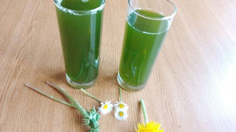 Mit selbstgemachtem Kräuterwasser aus Löwenzahn und Gänseblümchen startest du die Frühjahrskur – frisch und natürlich!