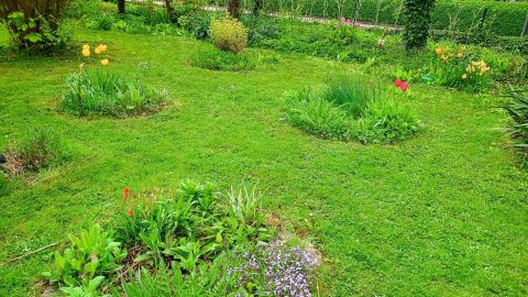 Kleine Blumeninseln bringen Leben in triste Rasenflächen. Wunderschöne Blumen und Pflanzen locken Insekten und verschönern uns den Tag.