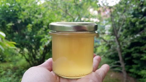 Holunderblütengelee mit Apfelsaft im Glas: So einfach gelingt dir ein fruchtig-blumiges Gelee für dein Frühstück.