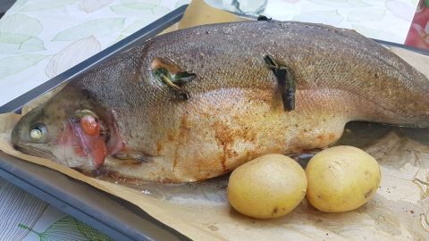 Lachsforelle vom Blech aus dem Backofen, gewürzt mit Kräutern und Knoblauch, was will man mehr?