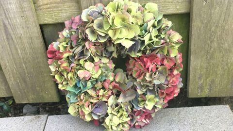 Mit dieser Anleitung gelingt Dir das Binden eines wunderschönen Hortensienkranzes als natürlicher Blickfang für Haus oder Garten.