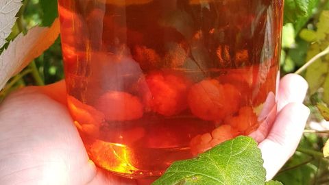 Himbeeressig aus frischen Beeren selbst gemacht: Mit wenigen Zutaten zauberst du einen aromatischen Essig für deine Küche.
