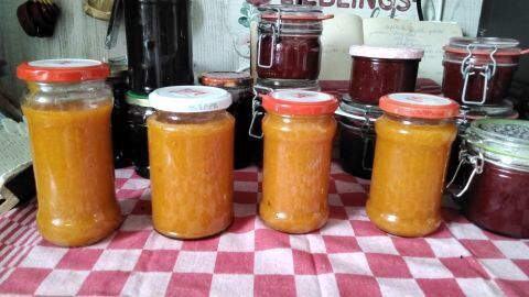 Aprikosenkonfitüre mit Orangenlikör: So gelingt dir ein fruchtiger Vorrat, ideal präsentiert in bunt gemischten Gläsern auf dem Tisch.