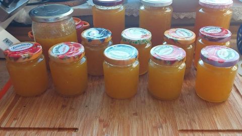 Selbstgemachte Zwetschgen-Marmelade, nicht zu süß – ideal zum Einstreichen von Tortenboden.