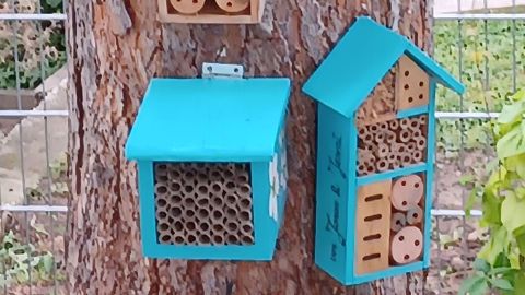 Frische Farbe und neue Röhren für dein Insektenhotel: Mit dieser DIY-Anleitung kannst du es ganz einfach streichen und erneuern.