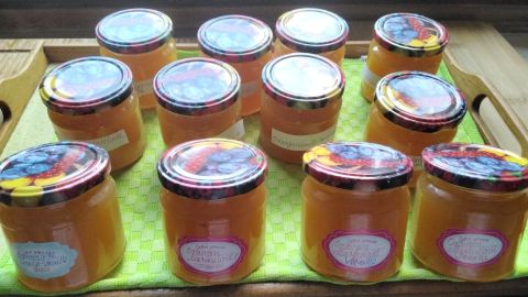 Fruchtiges Orangengelee mit Vanille: Mit diesem einfachen Rezept kannst du den leckeren Aufstrich selber machen.