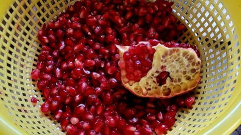 Granatapfel entkernen ohne Spritzer: Das ist das Zwischenergebnis mit Kernen im Sieb, Sch&auml;lmesser sowie den beiden entfernten &bdquo;Kappen&ldquo; und wei&szlig;en Innenh&auml;uten im Bioabfall.