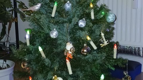 Weihnachtsbaum wiederverwenden: Statt jedes Jahr einen neuen zu kaufen, kann man einen Tannenbaum im Topf einfach &uuml;ber das Jahr weiterpflegen.