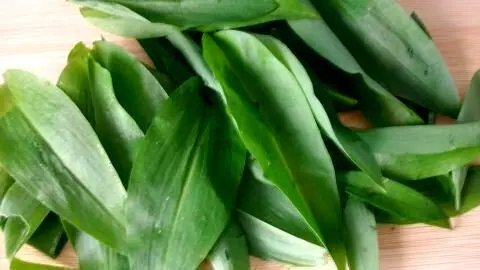 Frischer Bärlauch aus dem Garten, gut gewaschen und mit Küchenkrepp trocken getupft, dann klein geschnitten. Frischer Bärlauch wie auf dem Bild verleiht dem selbstgemachten Bärlauch-Himalayasalz aus dem Artikel ein intensives Aroma.