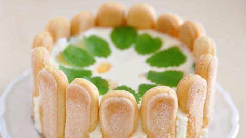 Ein Käsekuchen ist schön dekoriert mit Löffelbiskuit-Rändern und frischen Blättern, auf einem weißen Teller präsentiert.